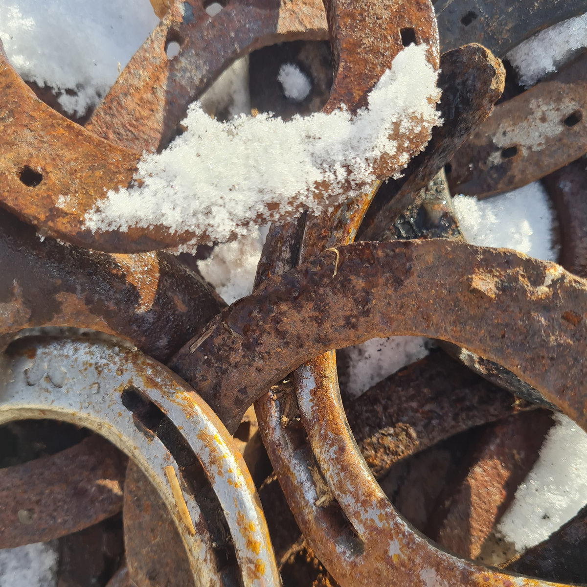 Ecodrones: Horses (& Ice) 